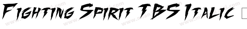 Fighting Spirit TBS Italic字体转换